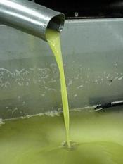 olivenoel.jpg